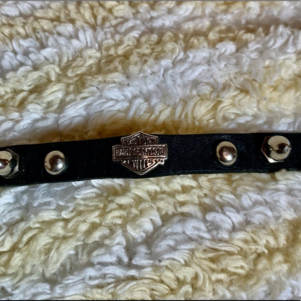 “Harley Davidson “Adjustable leather collar with studs
